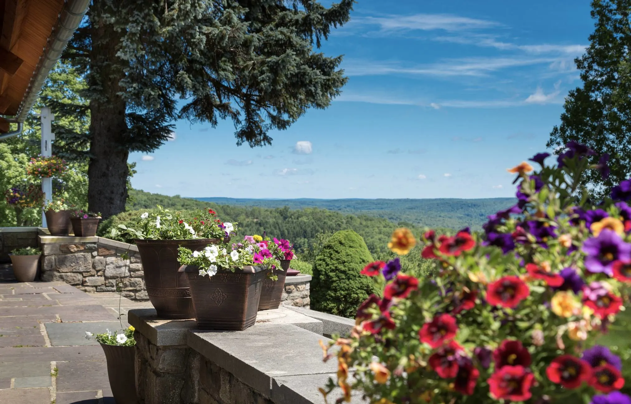 French Manor Inn Flowers